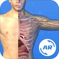 AR人体app安卓版