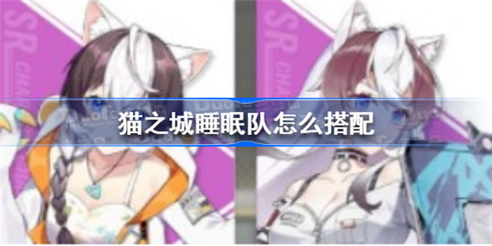 猫之城睡眠队如何搭配-猫之城睡眠队搭配介绍