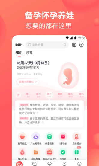 宝宝树孕育app最新版